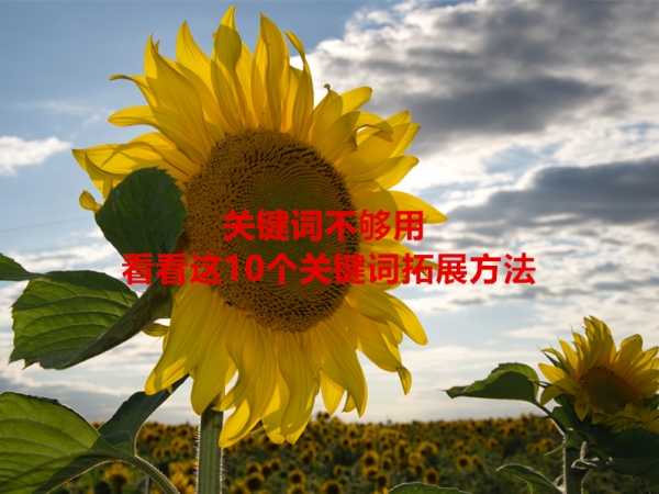 關(guān)鍵詞不夠用，看看這10個關(guān)鍵詞拓展方法！