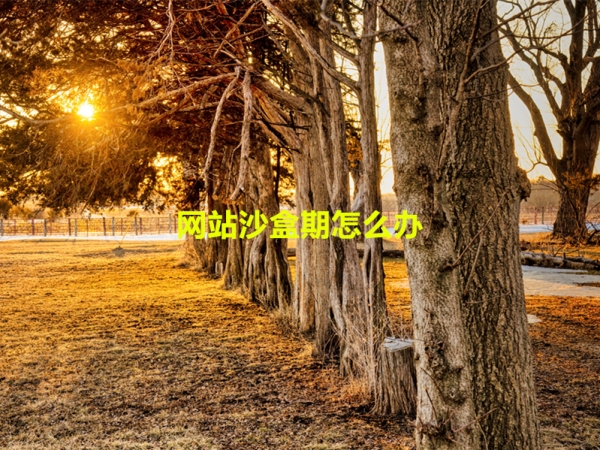 網(wǎng)站沙盒期怎么辦？